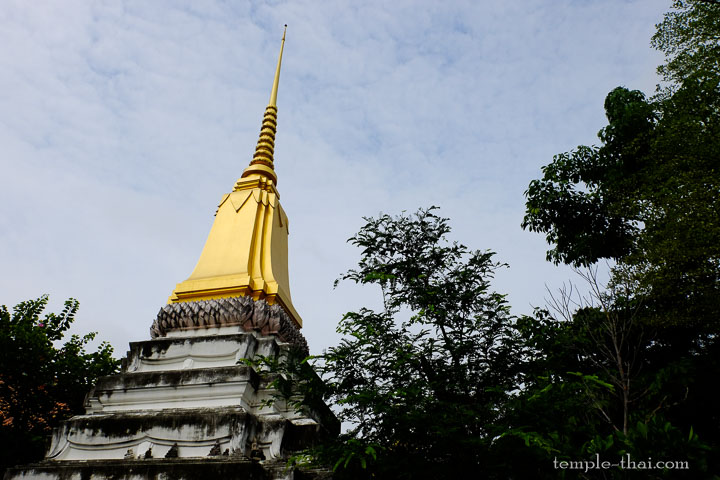 Stupa historique