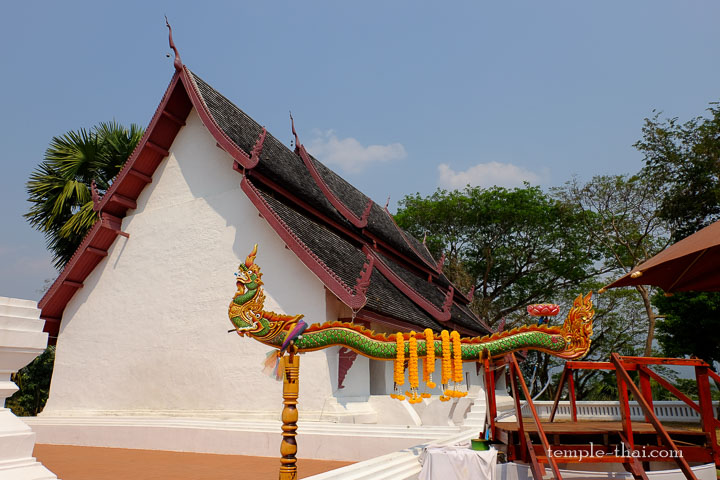 Nagas qui servent à arroser le stupa