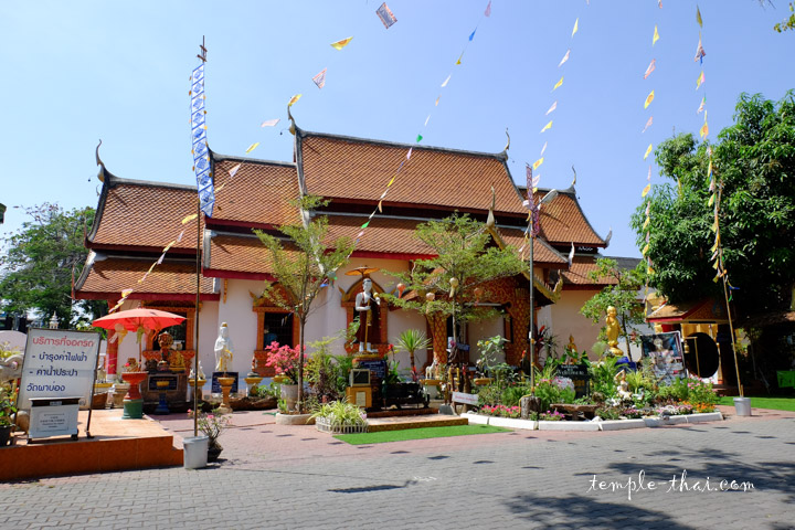 Le Viharn et ses fleurs