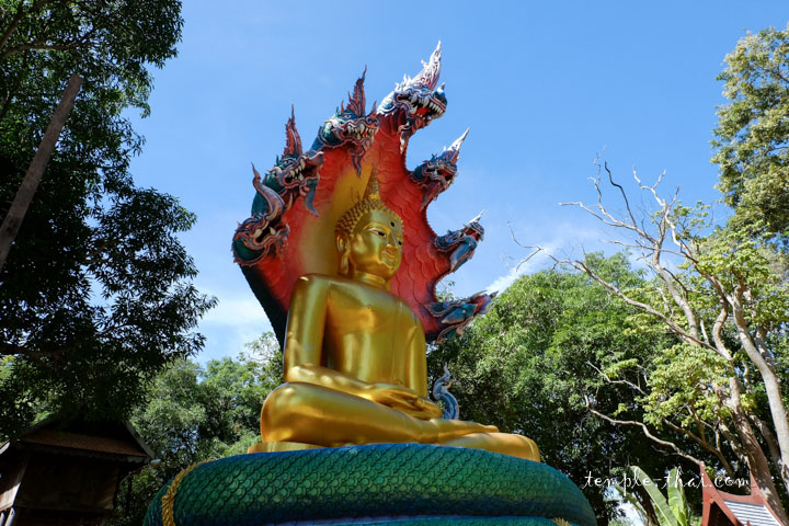 le Bouddha protégé par Mucalinda