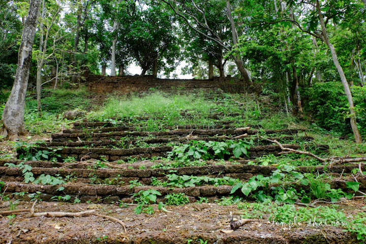 escalier dans la nature